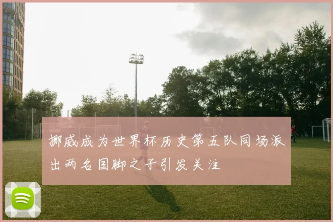 挪威成为世界杯历史第五队同场派出两名国脚之子引发关注